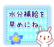838087348