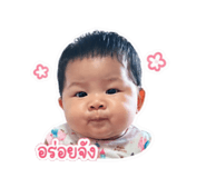 838090084
