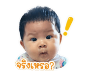 838090086