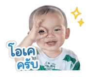 838090666