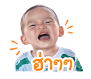 838090667