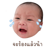 838090975