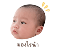 838090982