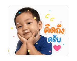 838095504