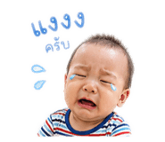 838096541
