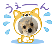 838097323