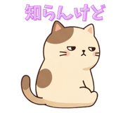 838102677