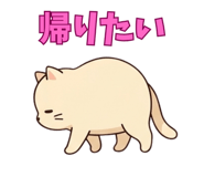 838102683