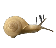 838105416