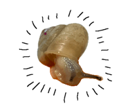 838105424