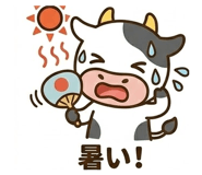 838106895