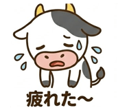 838106897