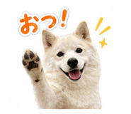 838109018
