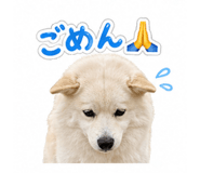 838109020