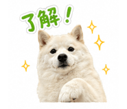 838109021