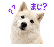 838109022