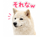 838109023