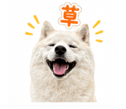 838109024