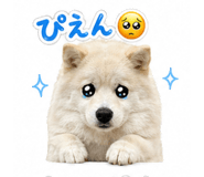 838109025