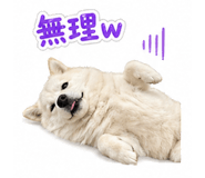 838109026