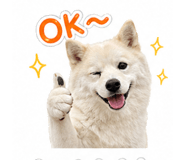 838109027