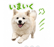 838109028
