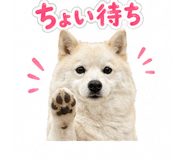 838109029