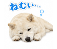 838109030