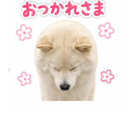 838109031