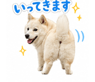 838109032