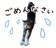 838111078