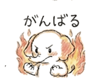 838112016