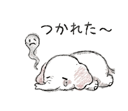838112027