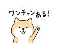 838112451