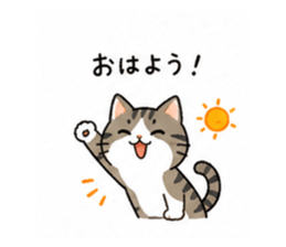 838112657