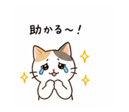 838112661