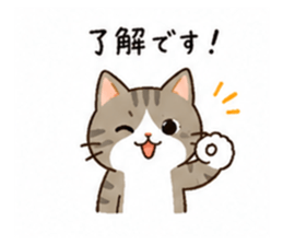 838112662
