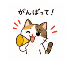 838112673