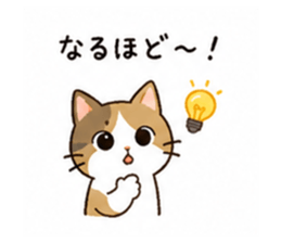 838112675
