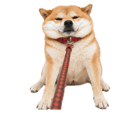 838112777