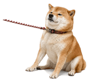 838112778