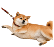 838112783