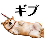 838112786