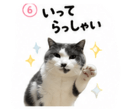 838112878