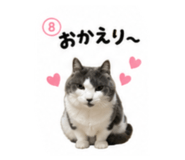 838112880