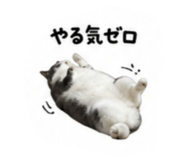 838112887