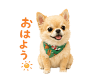 838113113