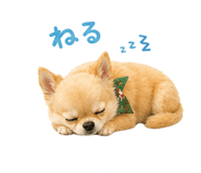 838113122