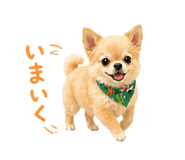 838113123