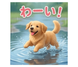 838114485